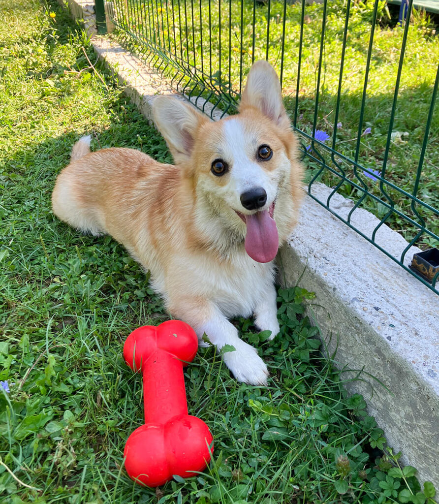 Lulu